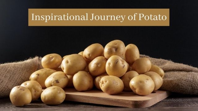 Inspirational Journey of Potato